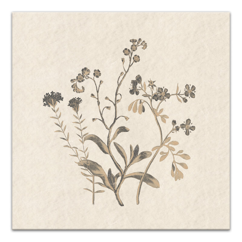 «Charcoal Botanicals», reproduction sur toile, H 30 po x l 30 po