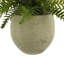 Outdoor UV-Rated Fern in Fiberstone Pot-748258957