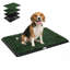 Dog Toilet