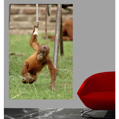 Animals Non-Wall Damaging Wall Decal