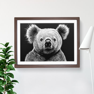 Koala Bear - Framed Print