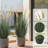 4ft Artificial Onion Grass Plant with 7 Feathery Flower Heads, Faux Horsetail Reed Grass in Pot, Indoor Outdoor Realistic Floor Greenery for Home Office Décor-926450179