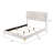 James White Upholstered Queen Panel Bed