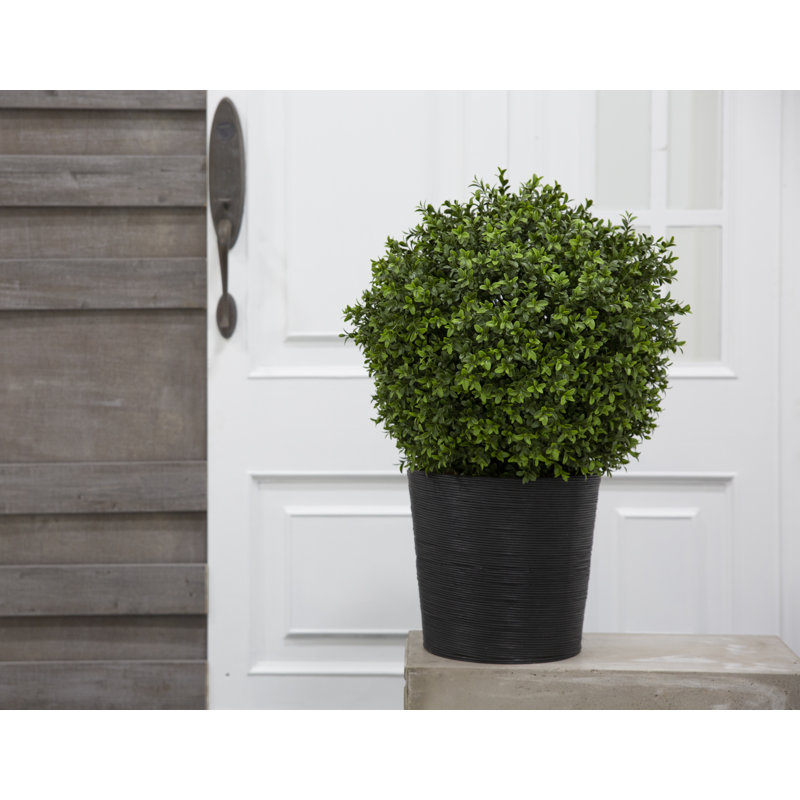 30'' Faux Boxwood Topiary in Wood Pot