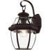 Light Bronze