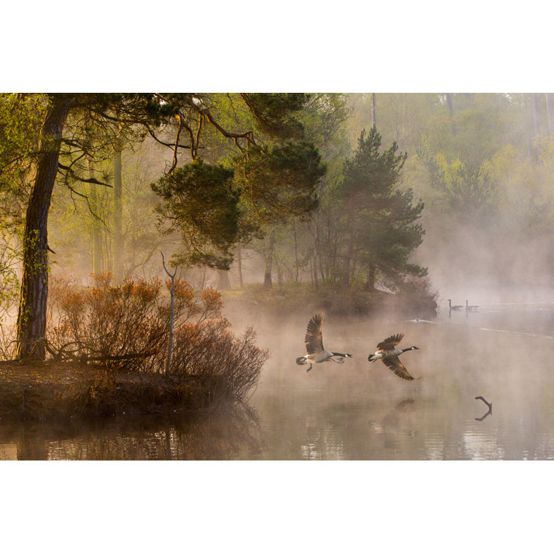 Wrapped Canvas Print