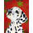 Dalmatien (noir et blanc) sélectionné