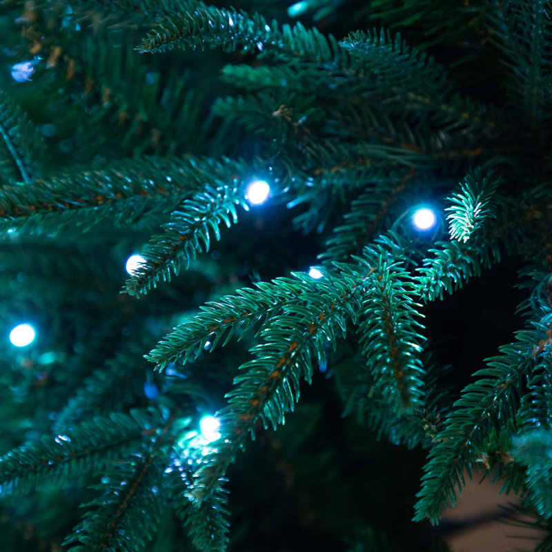 Pre-Lit Artificial Edmonton Fir Light Show Memory Shape Christmas Tree, 6'