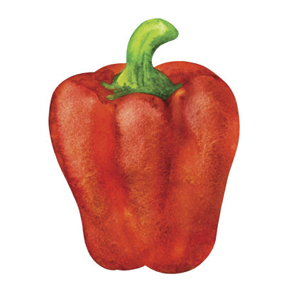 " Red Pepper " Painting Print