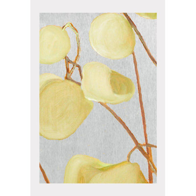 " Milkweed On Pale Gray "