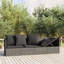Lit de patio en rotin avec coussins Ebern Designs-550873709-550873705