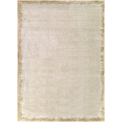 Rakhimov Taupe Solid Border Area Rug