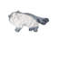 Siamese Cat Object
