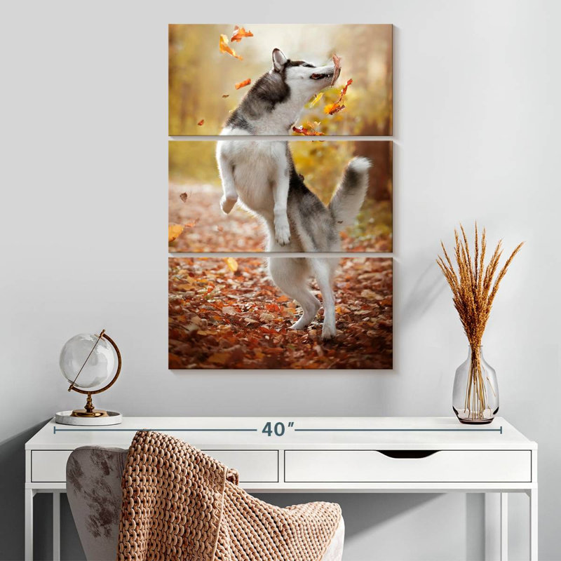 Brampt Autumn Husky Playing, 32" H x 20" W