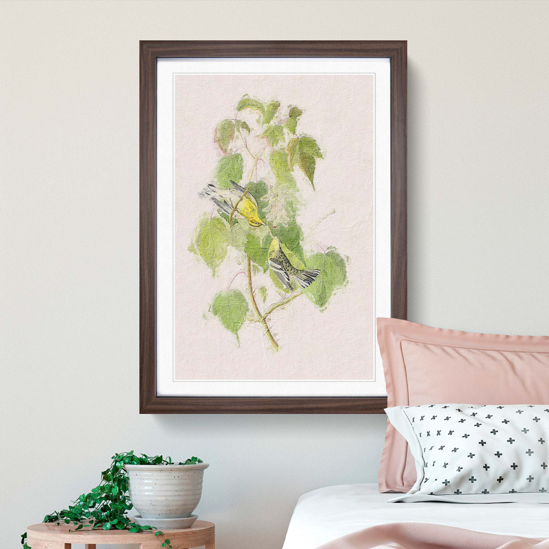 Hemlock Warbler by John Audubon - Picture Frame Painting Print