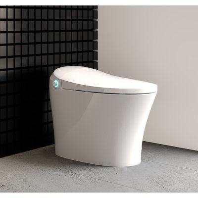 Dual-Flush Elongated Bidet Toilet (Seat Included)