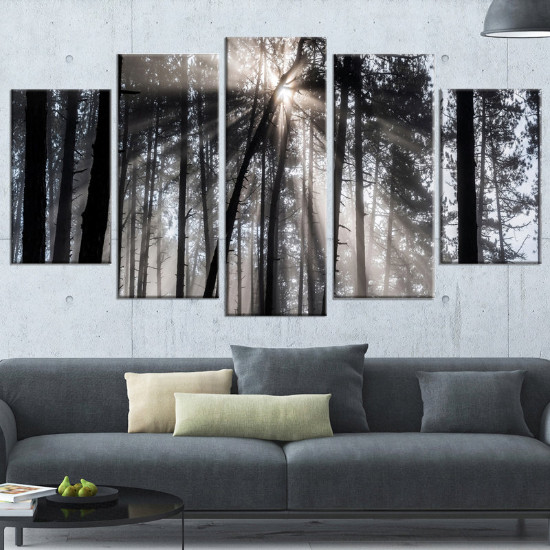 Les rayons du soleil à travers la forêt blanche noire, ensemble de 5 photographies sur toile tendue