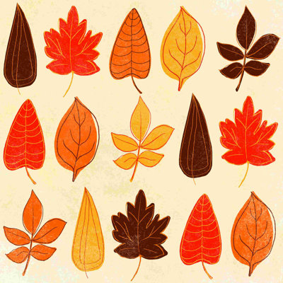 " Funky Leaves "