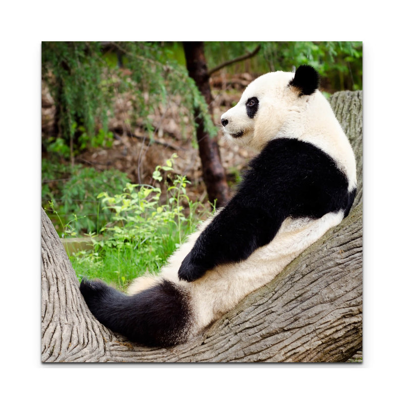 Wrapped Canvas Print, 60cm L x 60cm W