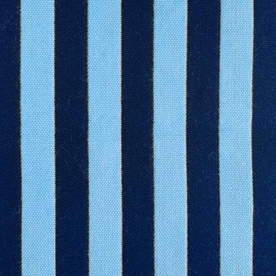Lorenzo Castillo Volume VI Striped Fabric