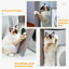Maison dans un arbre à chat 35 po-117068838