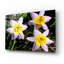 «Flowers Iii», art mural en verre acrylique-604829926