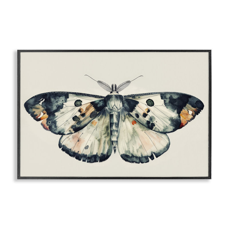 Reproduction d'art giclée à l'aquarelle par Petal Prints Design, Giclée encadrée noir minuit, H 20 po x l 30 po