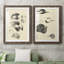 «Waterbird Sketbook III», ensemble de 2 reproductions de dessins encadrés-489477121-489477123