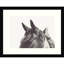Partenaire - reproduction de photo sur papier encadrée-535478012-535478013