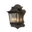 Fanucchi - Light Outdoor Wall Lantern