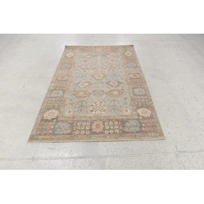 Transitional Hand Knotted Wool Oriental Area Rug