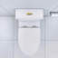 CCJKLO 1,6 gallons GPF allongée confort au sol à proximité de la toilette (siège inclus)
