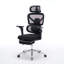 Fauteuil de bureau ergonomique avec support lombaire à massage, appui-tête 4D et accoudoirs 5D, dossier réglable haut et profondeur d'assise