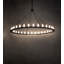 32 - Light Chandelier