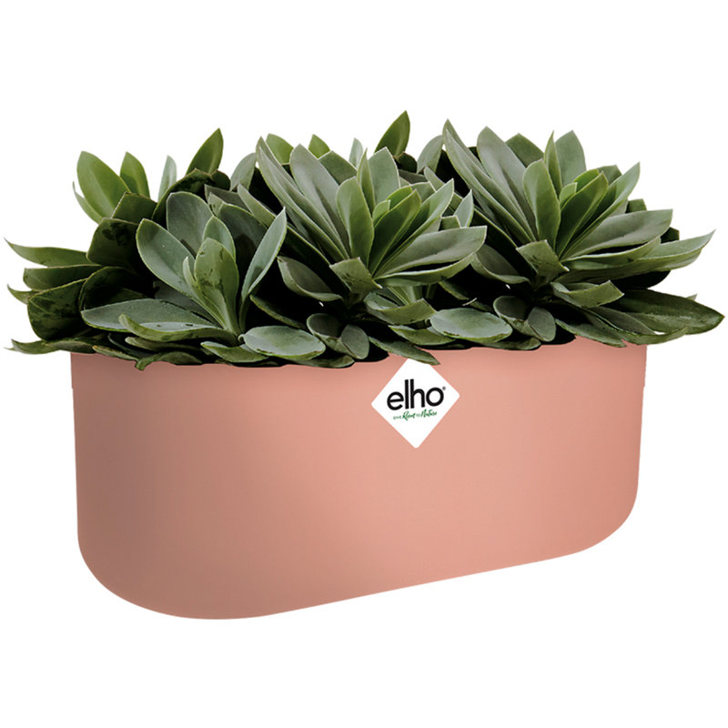 Pot Planter