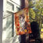 Chat en feuilles d'automne-112700535
