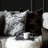 Trellis Feather Reversible Throw Pillow