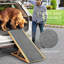 Rampe pour animal 40,94 po Destar