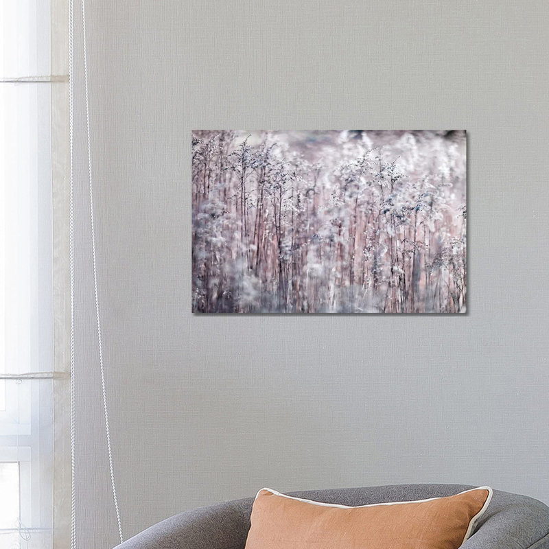 Cotton Tops 1 Piece Wrapped Canvas Wall Art, 66.04 cm H x 45.72 cm W x 3.175 cm D