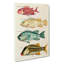 East Indies Fish Illustrations Fol. 29 by Isoda Koryusai - Wrapped Canvas-55342609