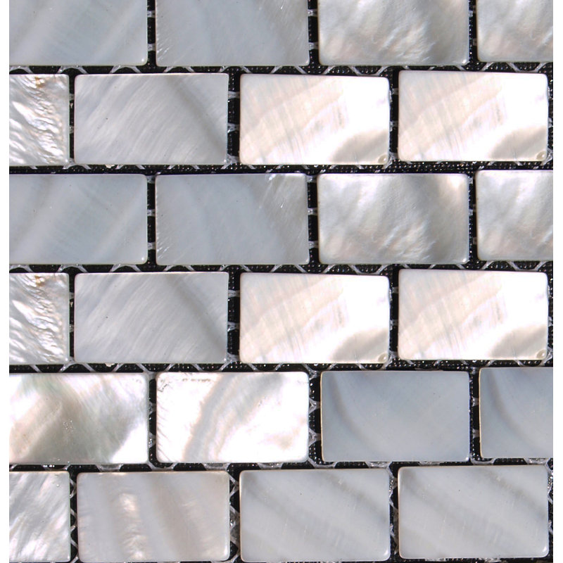 0.5" x 1" Seashell Mosaic Tile in Natural