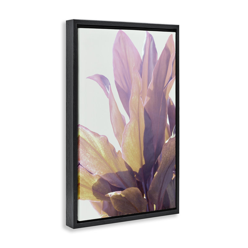 Cadre flottant à feuilles et plantes ensoleillées, design par Gemma Bardot, H 25 po x l 17 po, Cadre flottant noir de jais