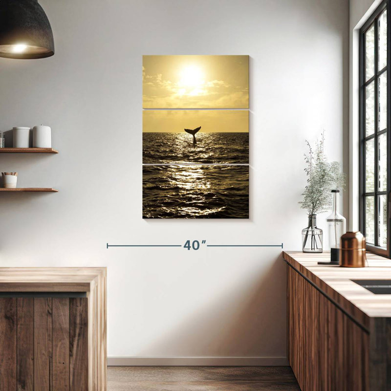 Baleine à bosse Brampt, H 38 po x l 24 po