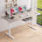 Woodacre 71" Adjustable Metal Base Standing Desk-1273006206