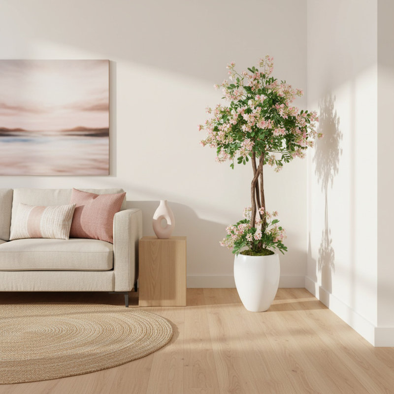 Stephanotis Tree in Fiberstone Pot
