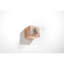 Ryan Flush Mounted Sconce