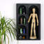 Tablette murale Colesen