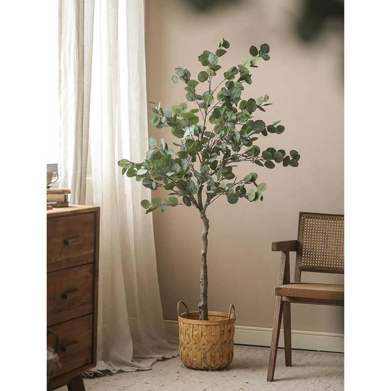 Arbre d'intérieur Simulation Eucalyptus