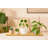  Gold Iron Scallop Shelf, Modern Decorative Floating Wall Shelf With Wooden Base