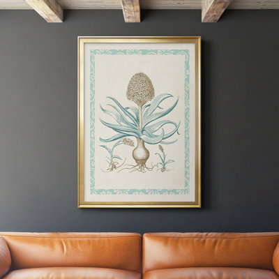 " Willow Blue Besler IV "